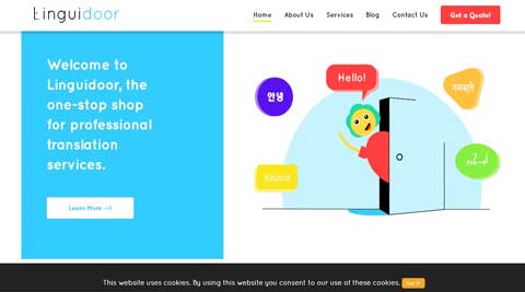 seo company in mayur vihar